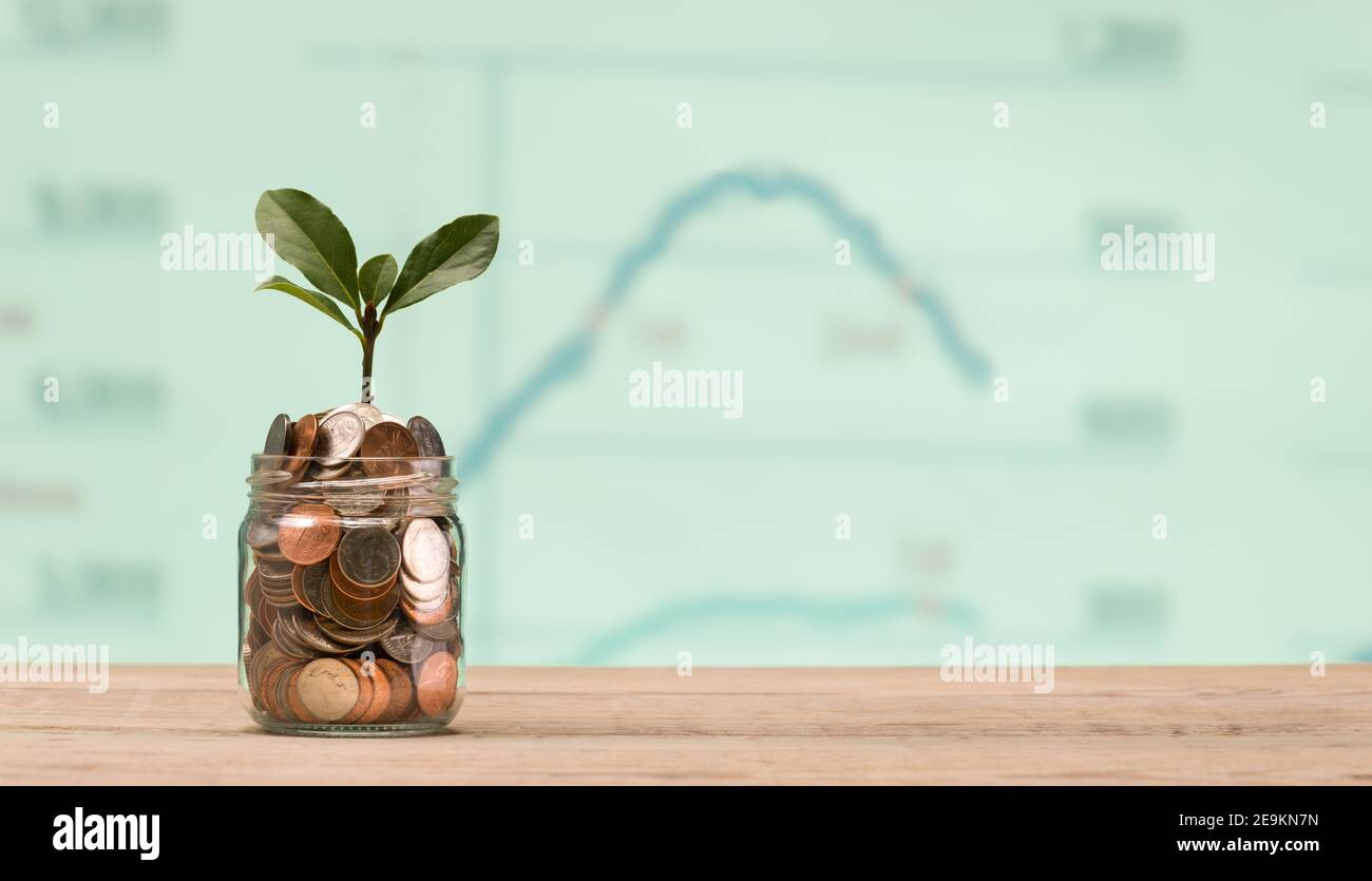 The Growing Plant In Savings Coins - Savings And Investments Concept. Blurred background investment indicator chart Stock Photo