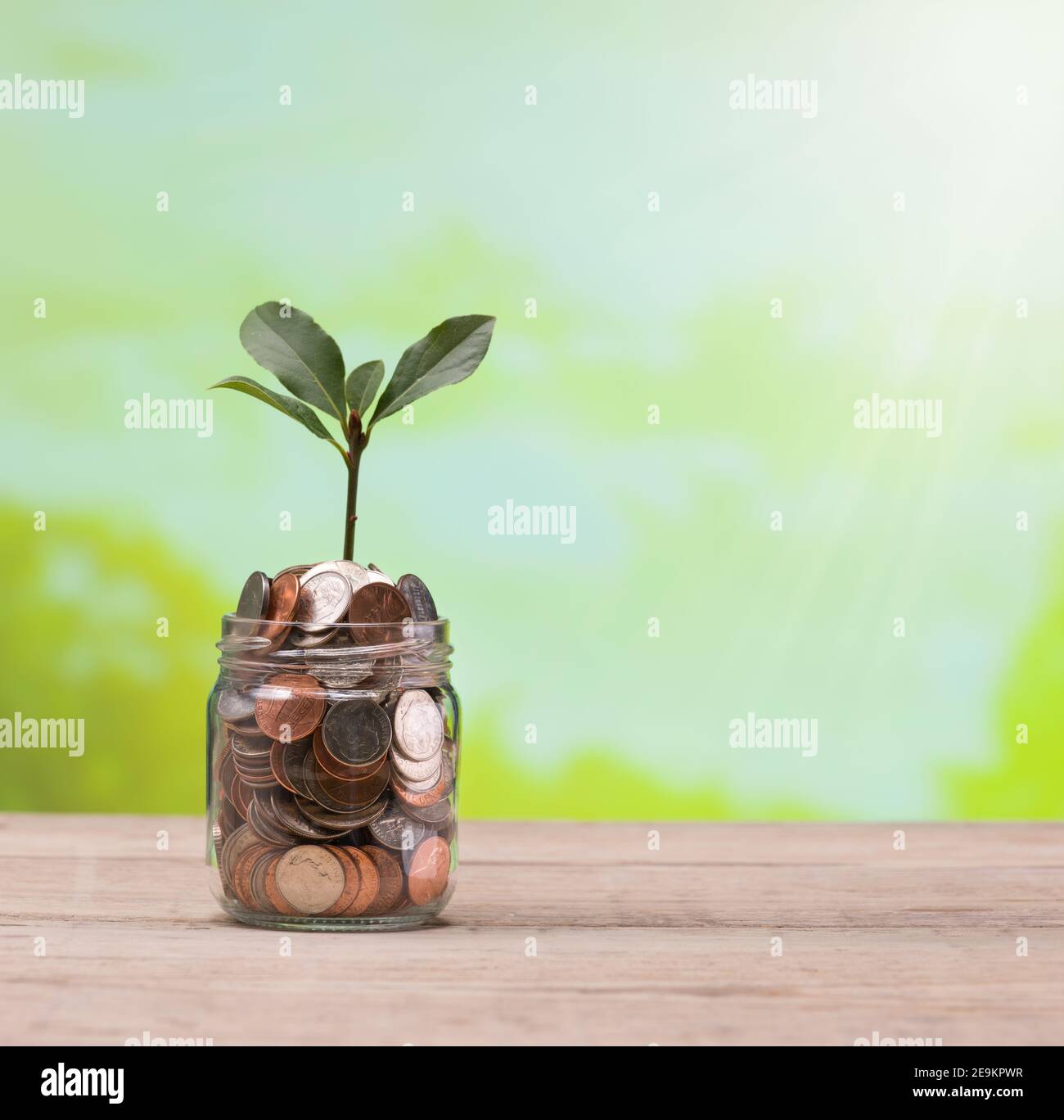The Growing Plant In Savings Coins - Savings And Investments Concept. Neutral blurred background investment indicator chart Stock Photo
