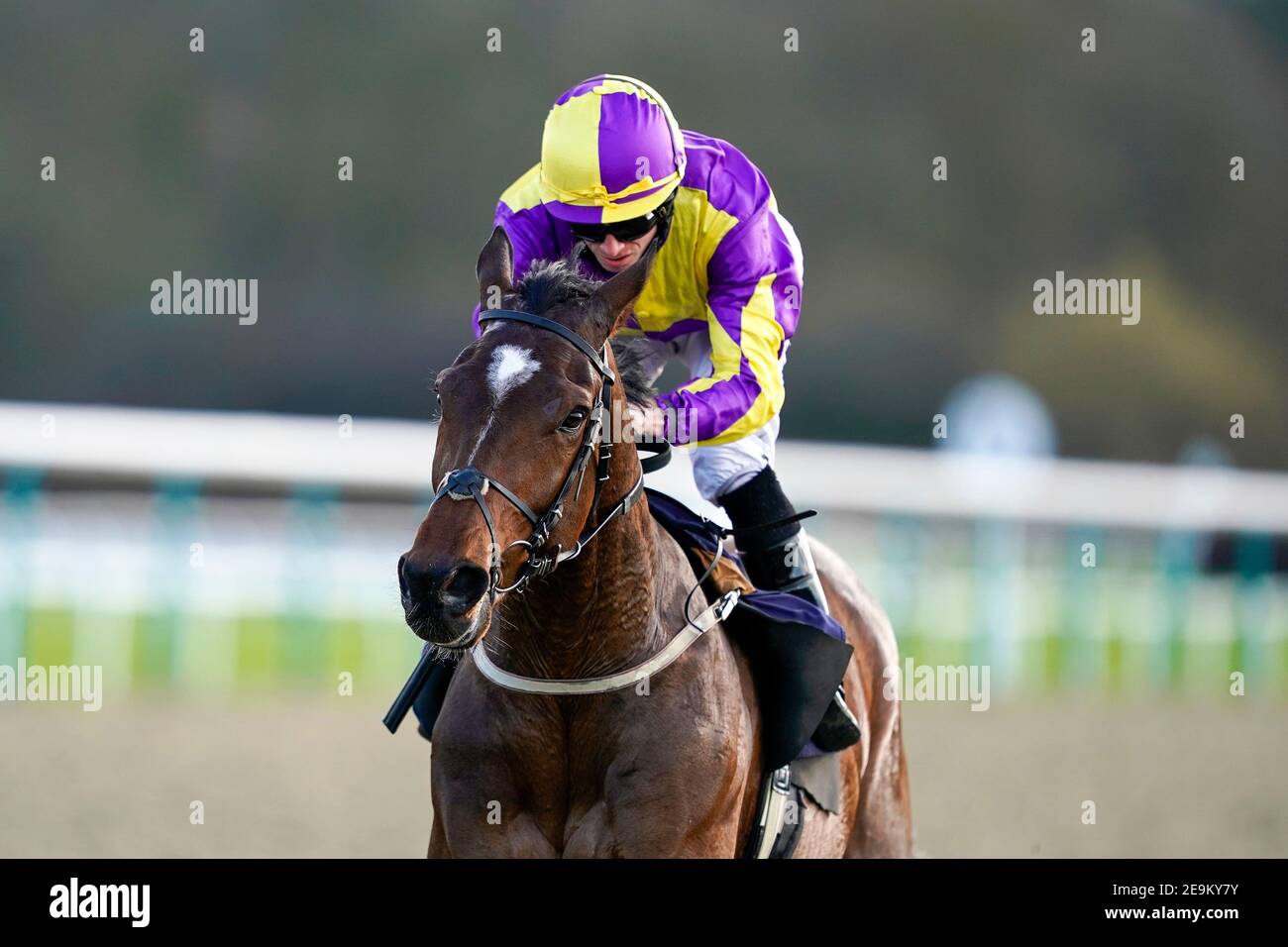 Royaume Uni ridden by jockey Ryan Moore on their way to win The Read Katie Walsh On Betway Insider Handicap at Lingfield Racecourse. Picture date: Friday February 5, 2021. Stock Photo