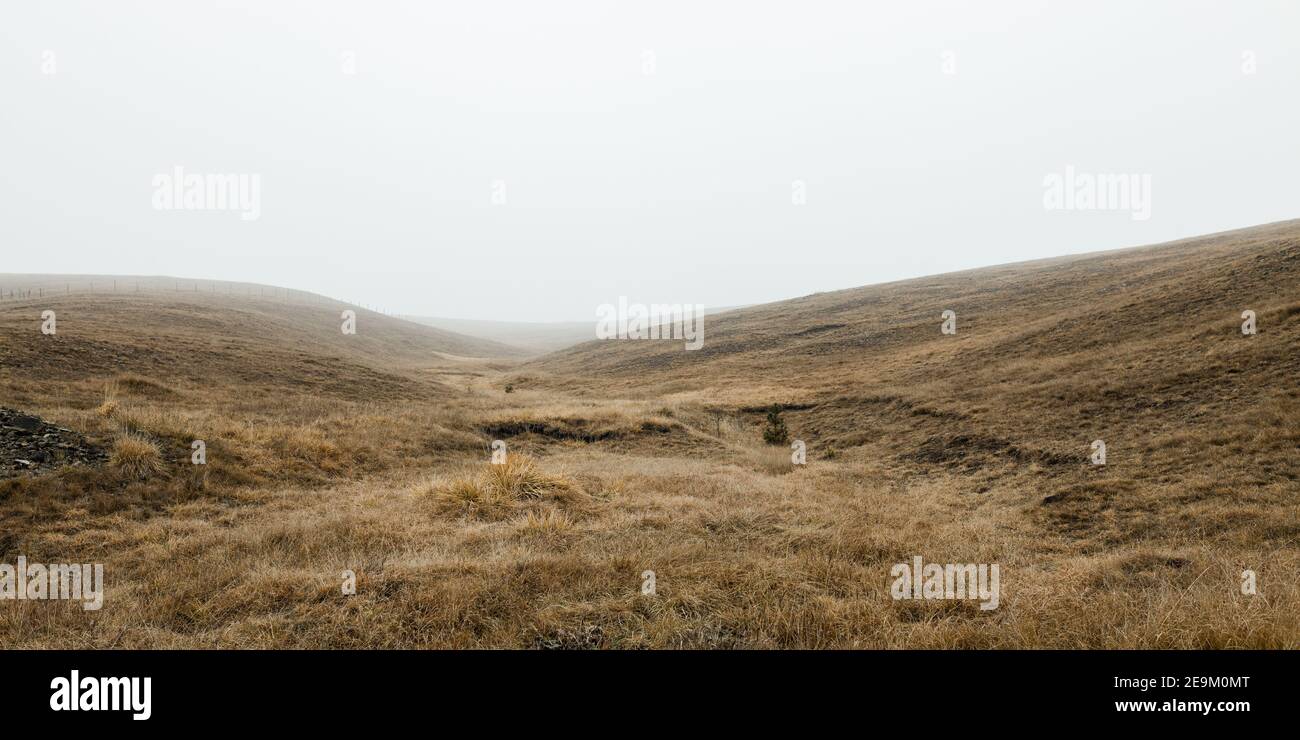 View of the misty meadow in the winter morning Stock Photo