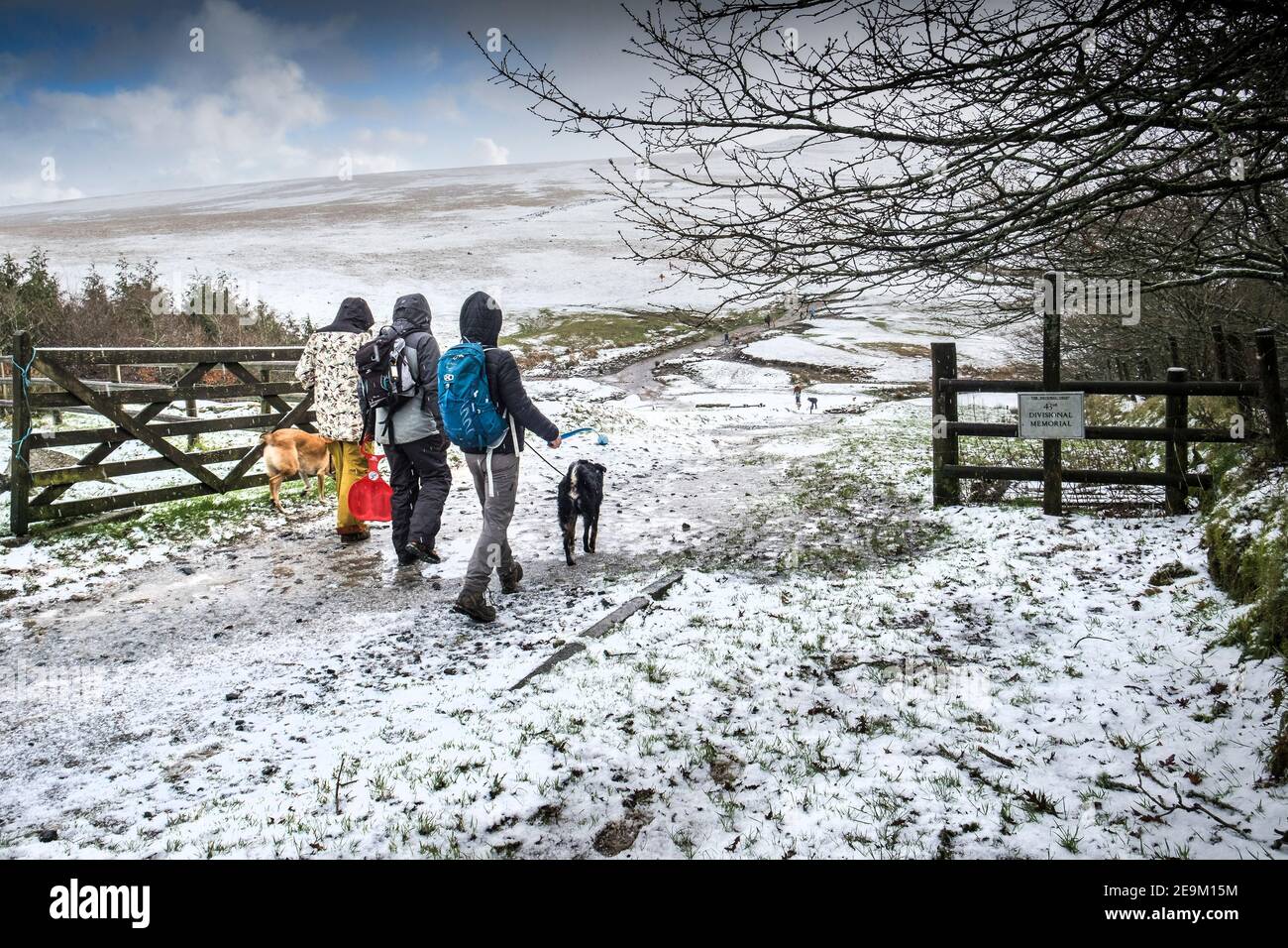 A family enjoying walking their dogs in the snow on the wild rugged Rough Tor on Bodmin Moor in Cornwall. Stock Photo