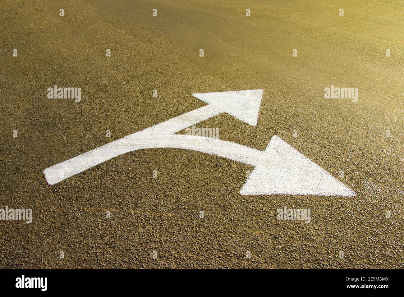 white directional arrow drawn on the asphalt ground - concept of paths and directions Stock Photo