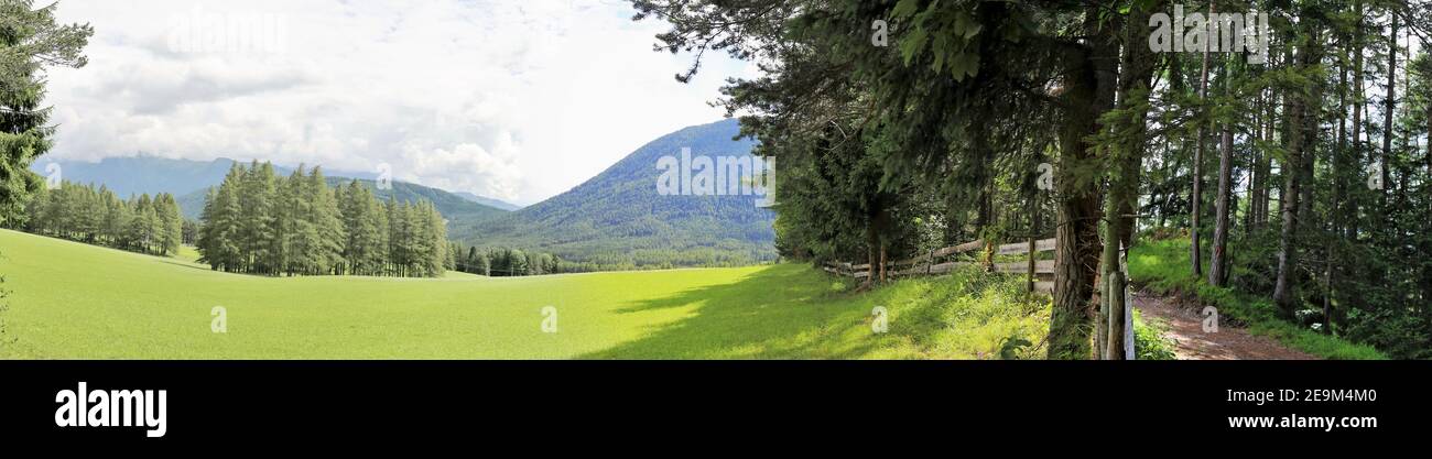Alpine panorama Tyrol with meadow and mountains in the Inn valley near Obsteig, Tyrol, Austria Stock Photo