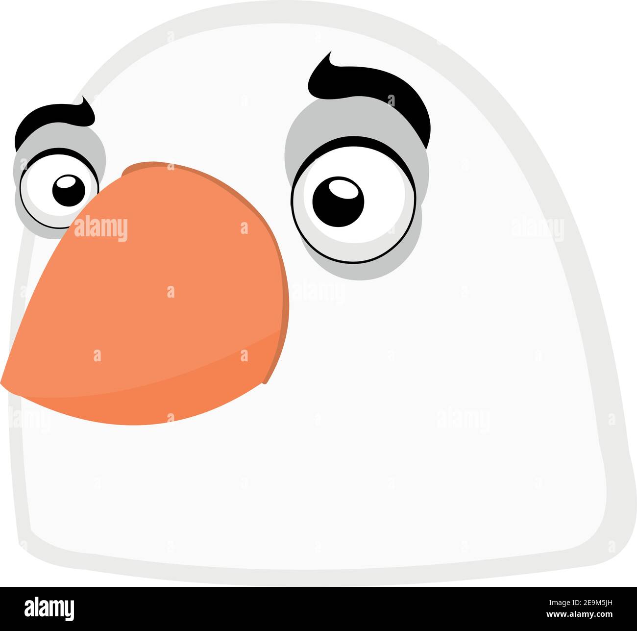 Vector illustration of the face of a pigeon Stock Vector