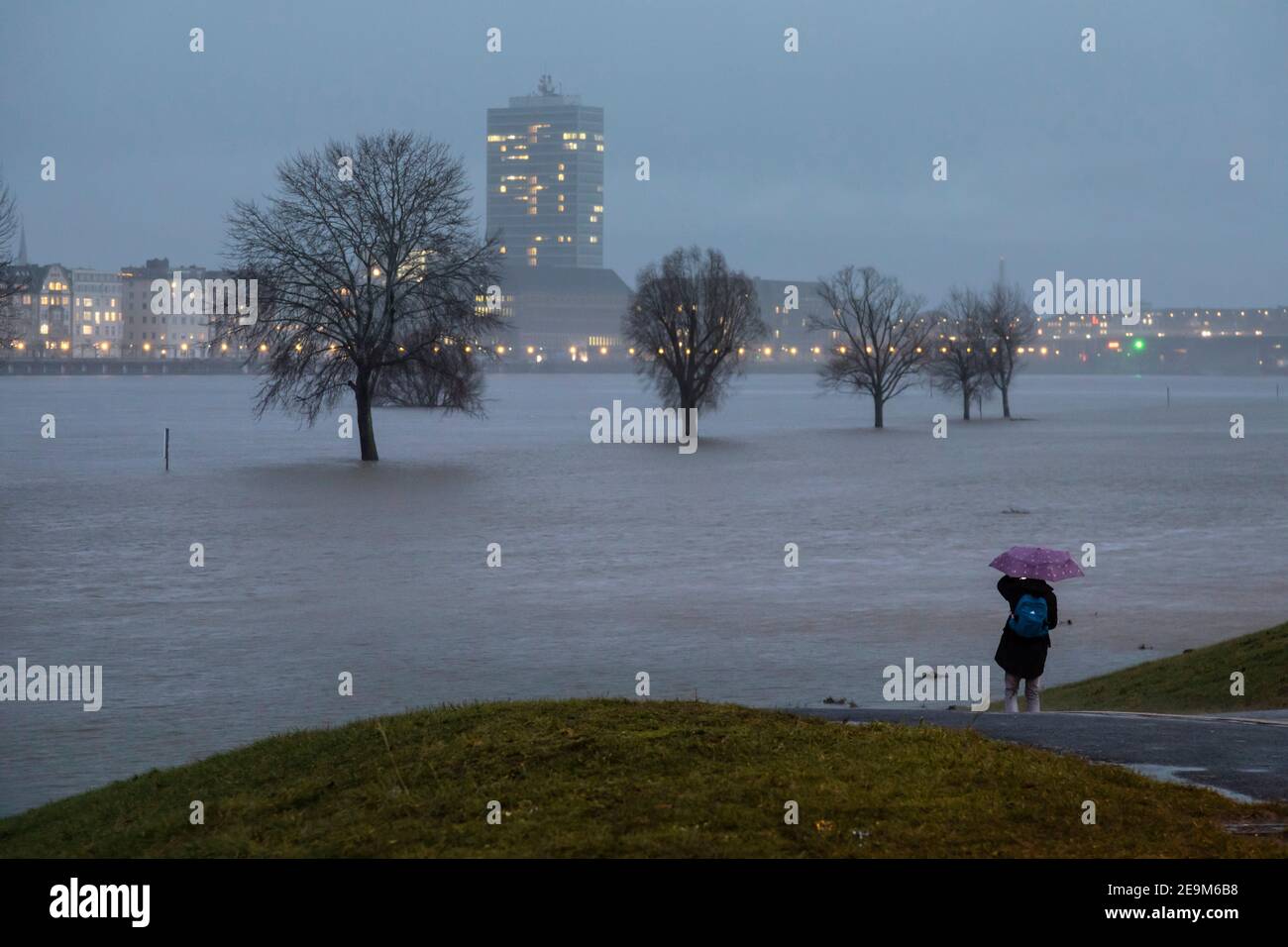 Flood on the Rhine in Dusseldorf, view of the downtown skyline Stock