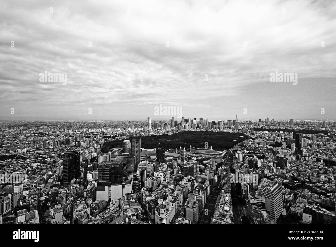Shibuya street view Stock Photo Alamy
