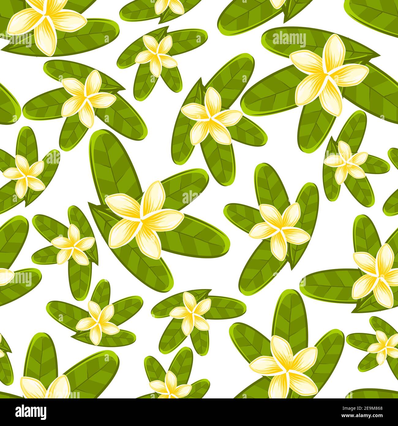 Tropical seamless pattern green leaves floral background template for ...