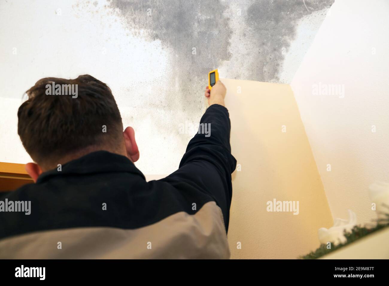 Moisture measurement on the wall, the wall is checked for moisture and