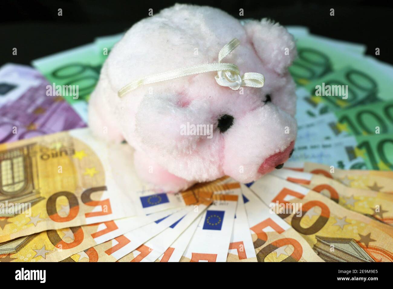 Euro bills (Euro banknotes) with a pig as a good luck symbol in Germany