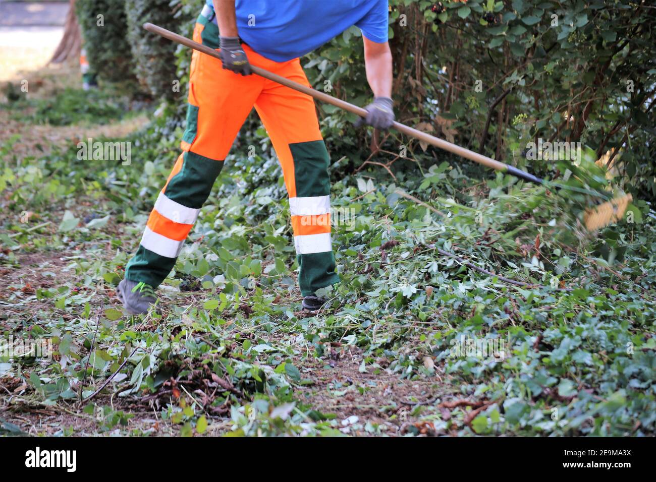 Outdoor maintenance, landscape maintenance Stock Photo Alamy
