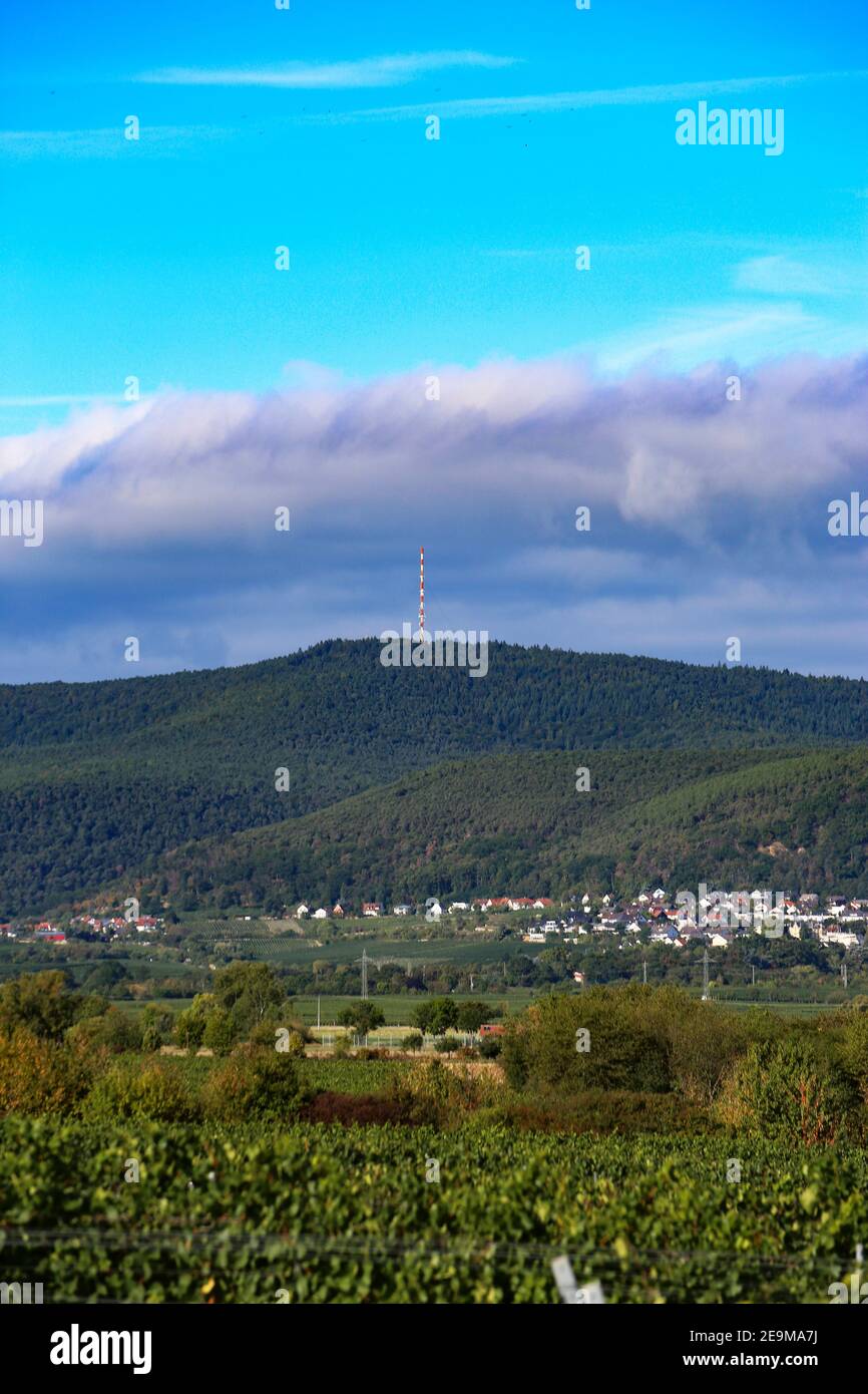 The Palatinate forest, Germany with grapevines in the foreground Stock ...