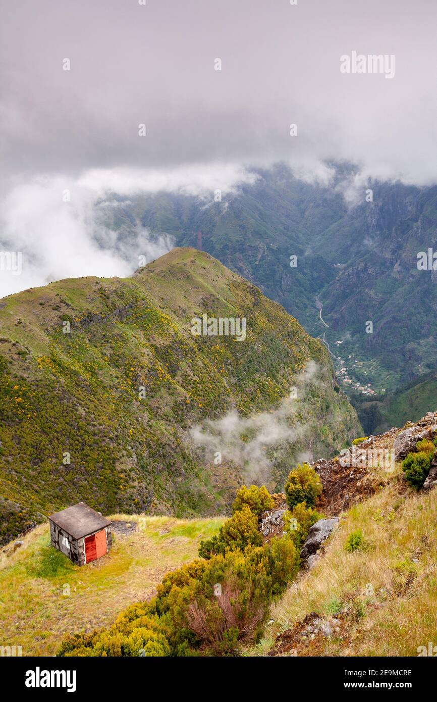 In The Mountain In The Cloud - Portugal The Man (#075678641862)