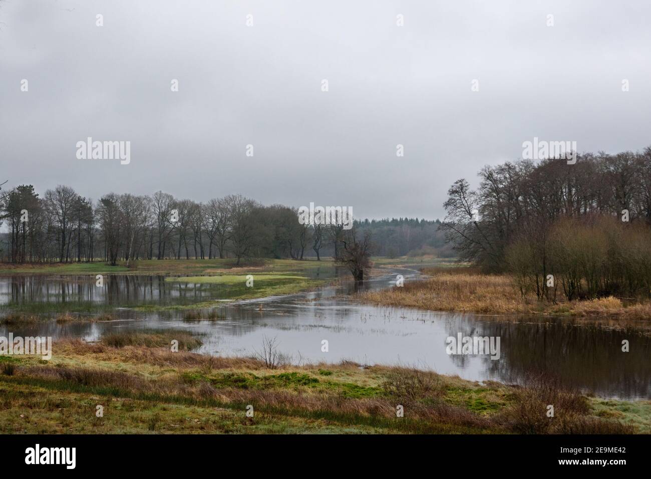 Meandering river overflows its banks Stock Photo