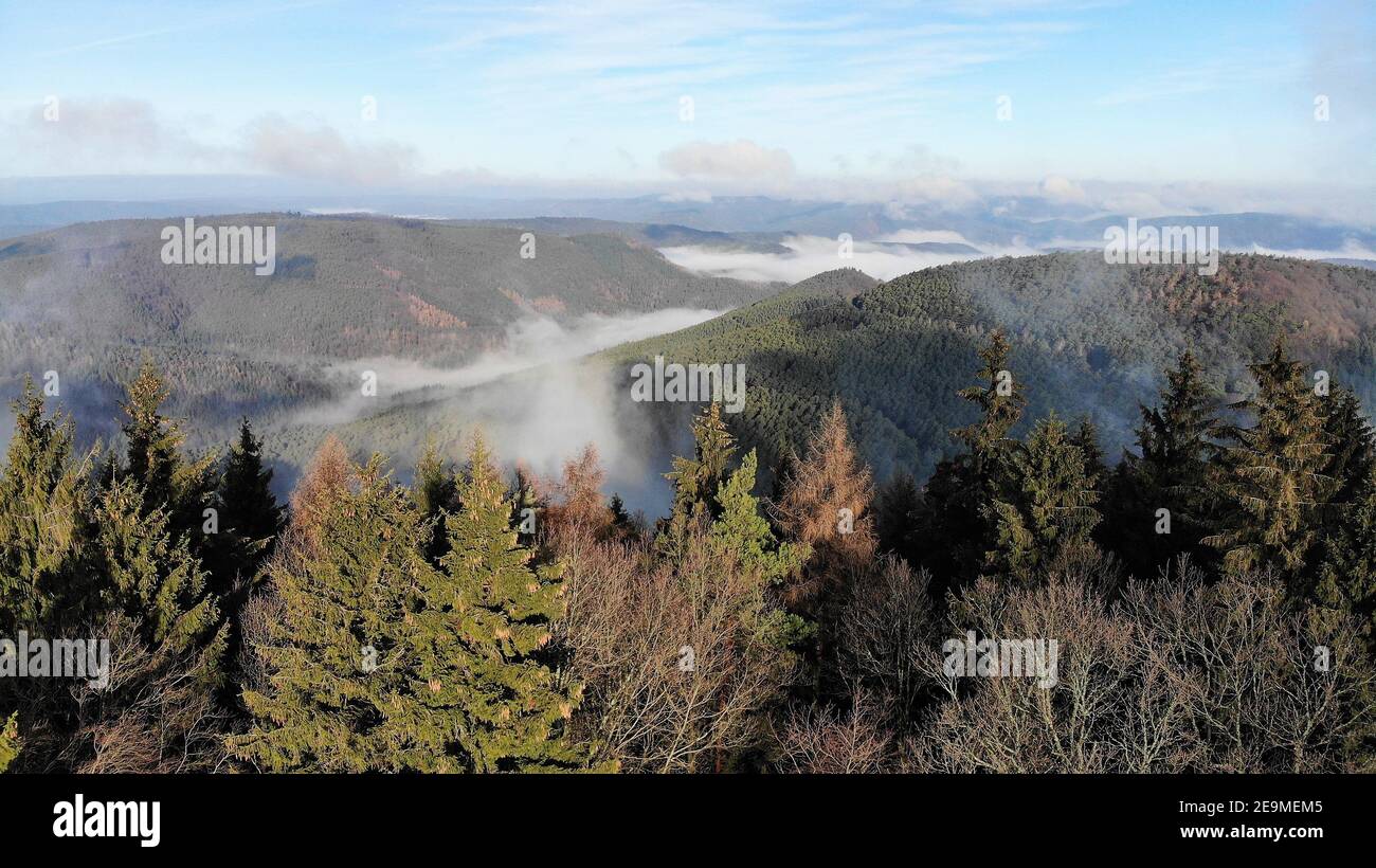 Beautiful aerial shot large forest hi-res stock photography and images ...