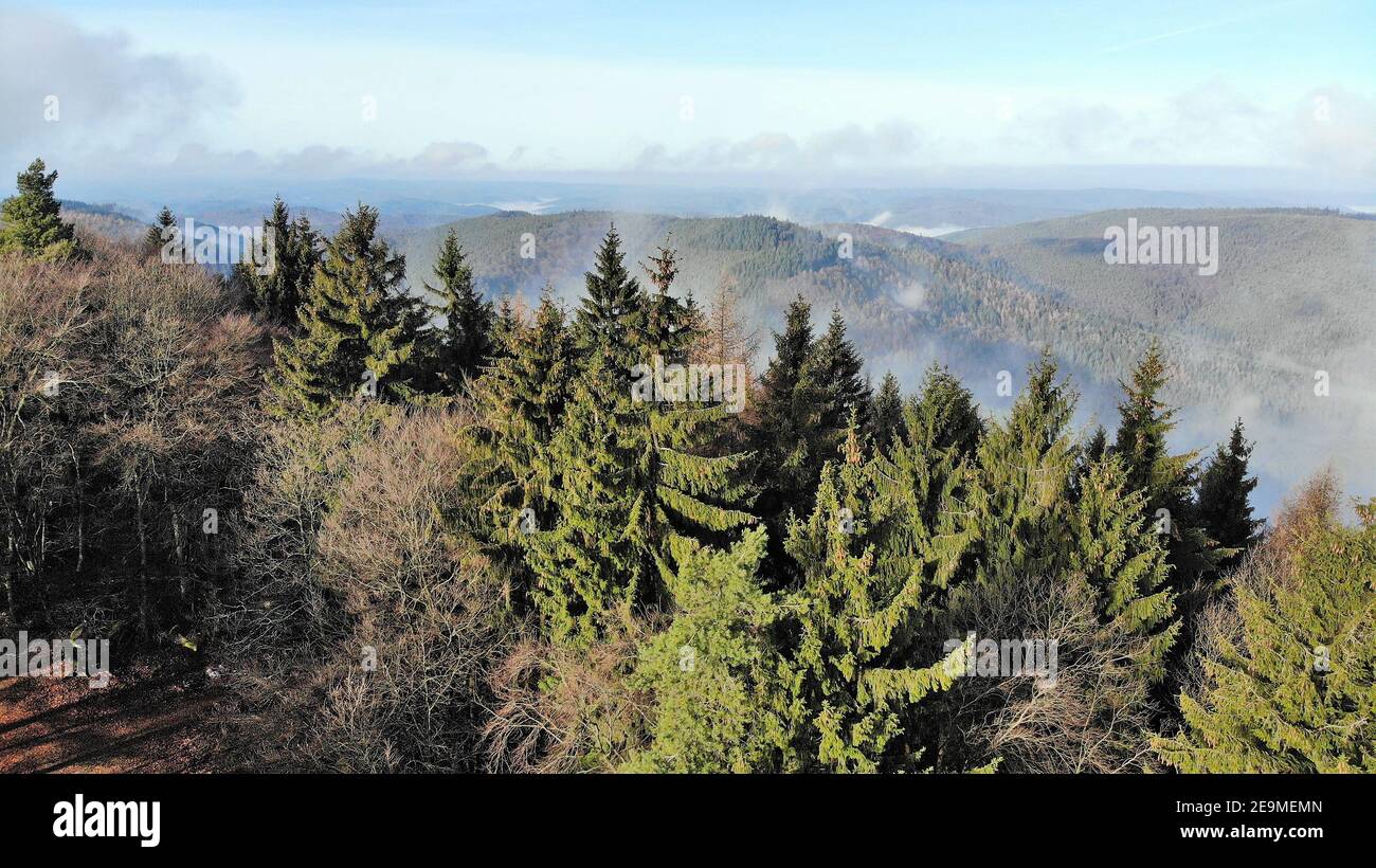 Aerial view of the Palatinate forest, Germany Stock Photo - Alamy