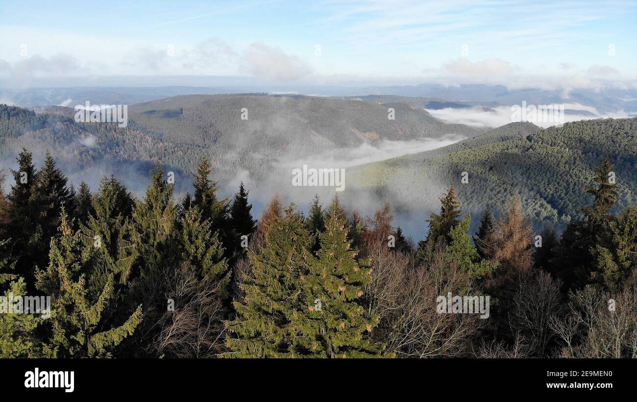 Beautiful aerial shot large forest hi-res stock photography and images ...