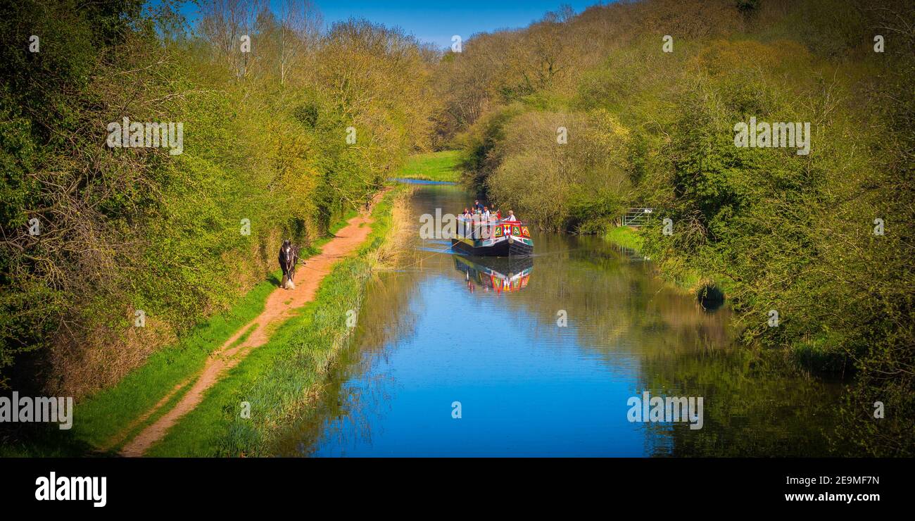 A shire-horse drawn canal barge providing tourist cruises on the Kennet and Avon canal near Kintbury in Berkshire England. Stock Photo