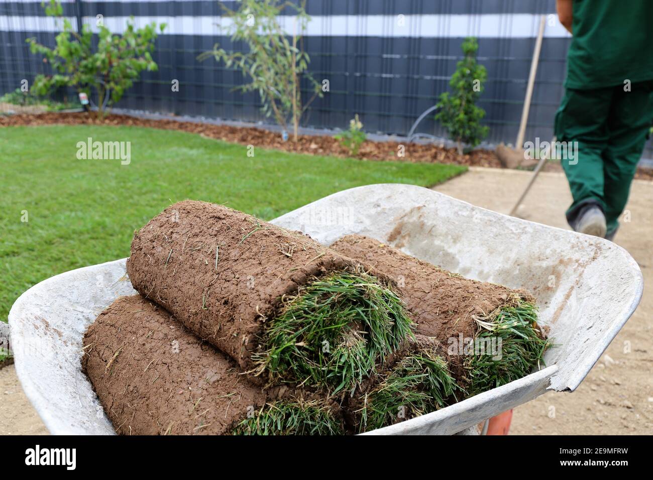 Professional gardener worker laying hi-res stock photography and images ...