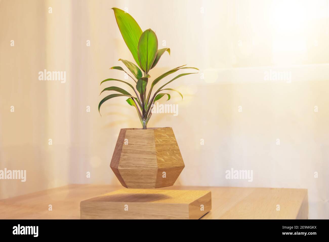 Hovering flying rotating in air potted plant pot on table in front of  window decorative gadget for home decoration interior Stock Photo - Alamy