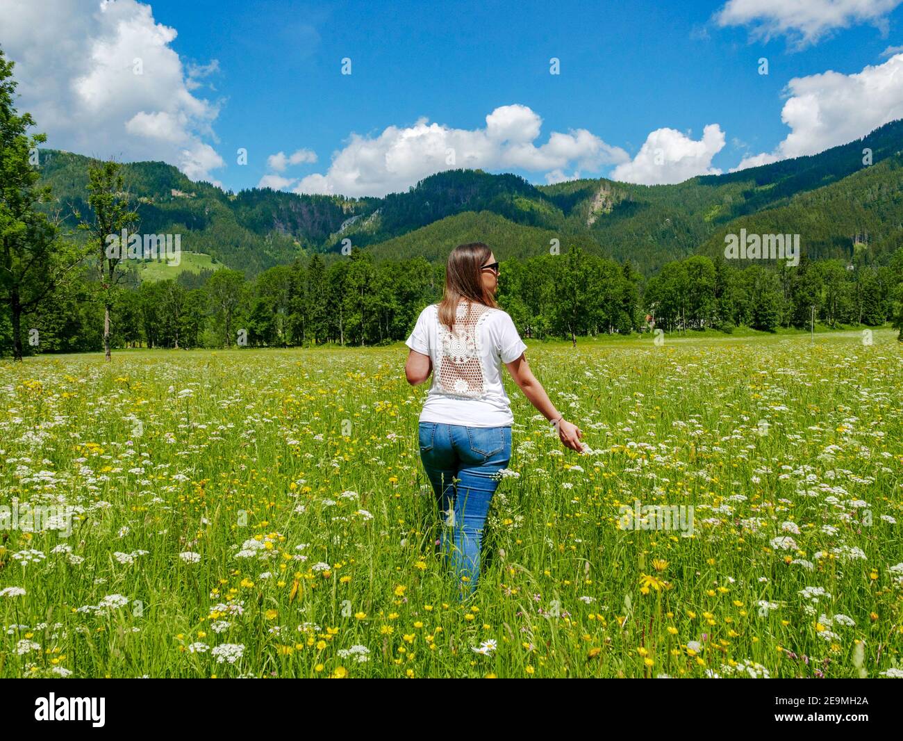 Back view of a female on a wildflower field with mountains Stock Photo ...