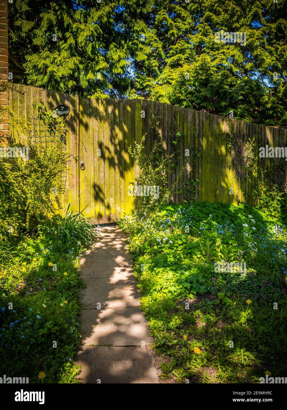The path and gate provide a striking entrance to number 7 Stock Photo