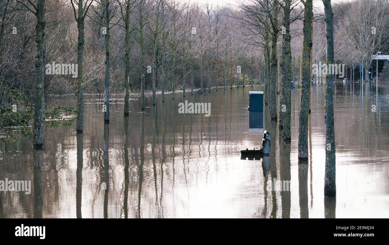 Lines of trees, and a park bench protrude from the water of the flooded park during the flood and inundation in Mainz, Germany in February 2021 Stock Photo