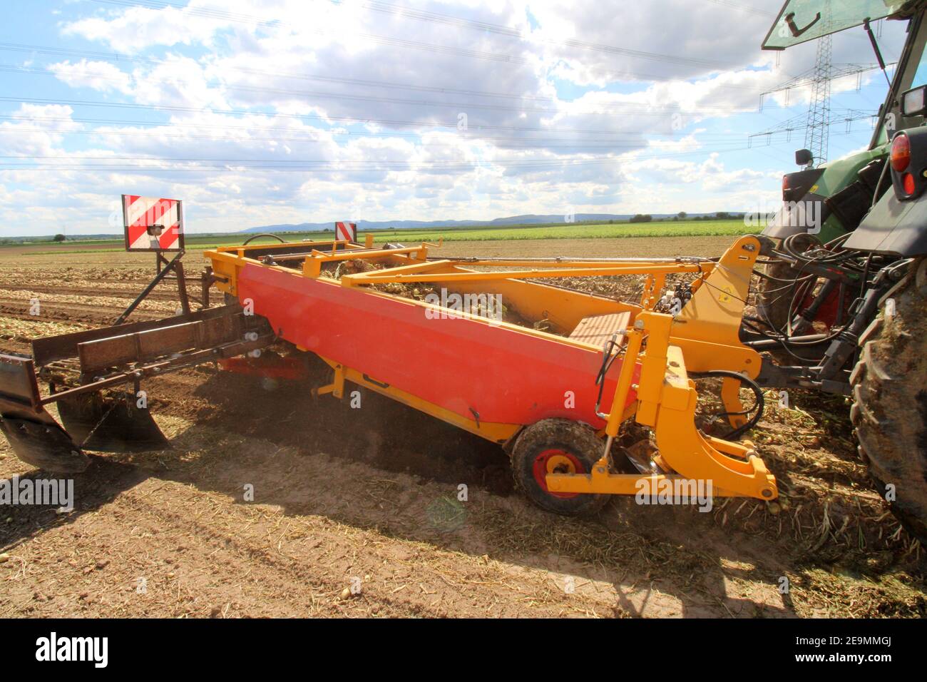 Agricultural bulb harvest Stock Photo Alamy