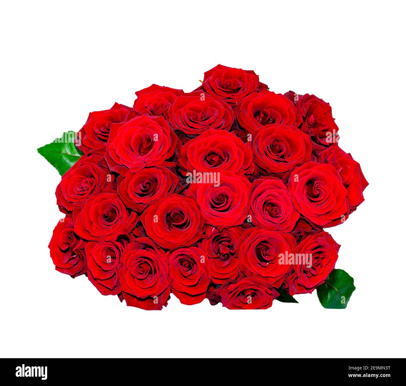 red roses, bunch of flowers isolated on white background Stock Photo