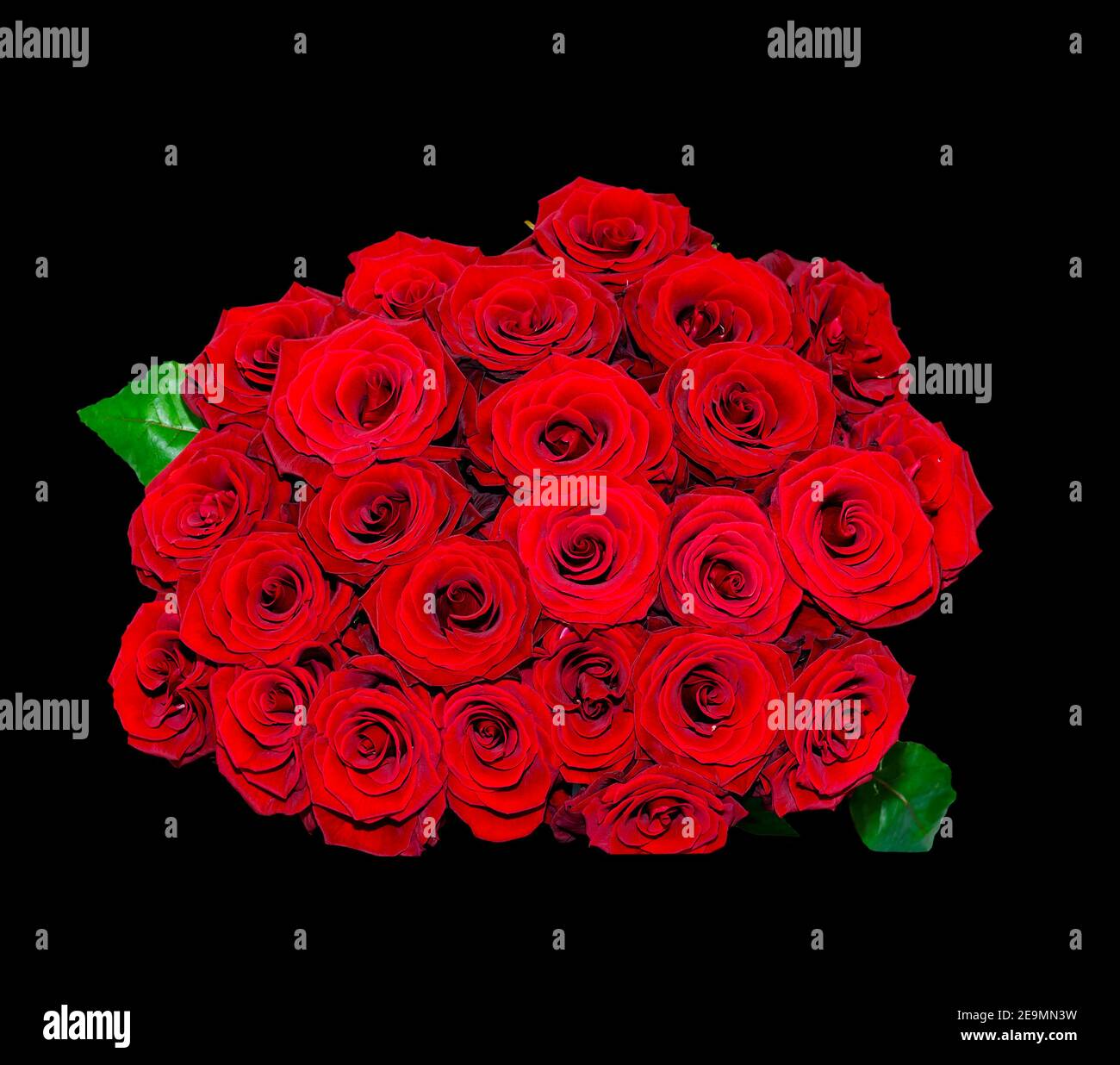 red roses, bunch of flowers isolated on black background Stock Photo
