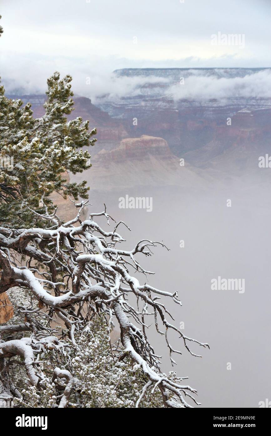 Grand Canyon foggy weather landscape in Arizona, United States. Mather