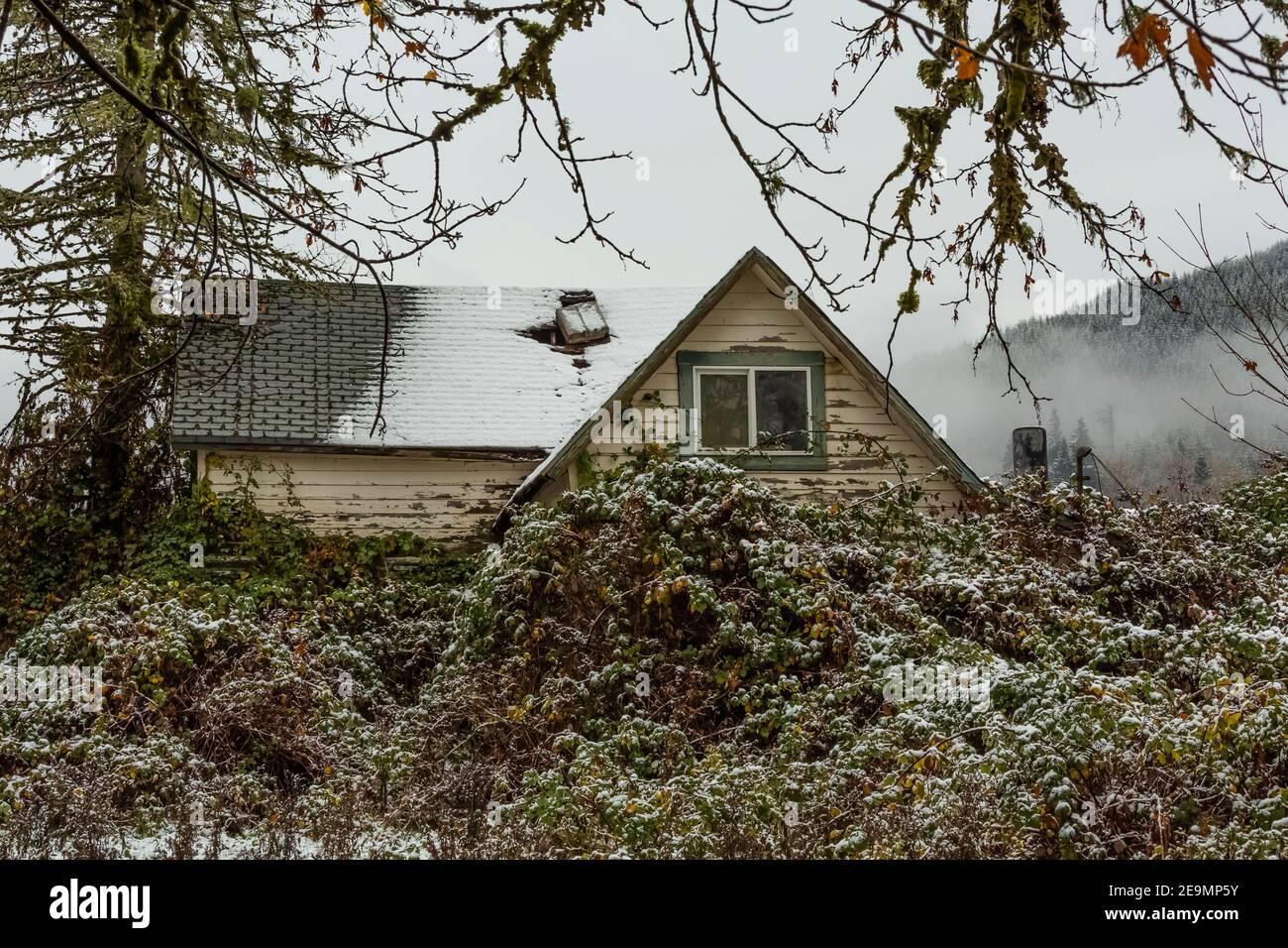 Skokomish Valley on the Olympic Peninsula, Washington State, USA Stock