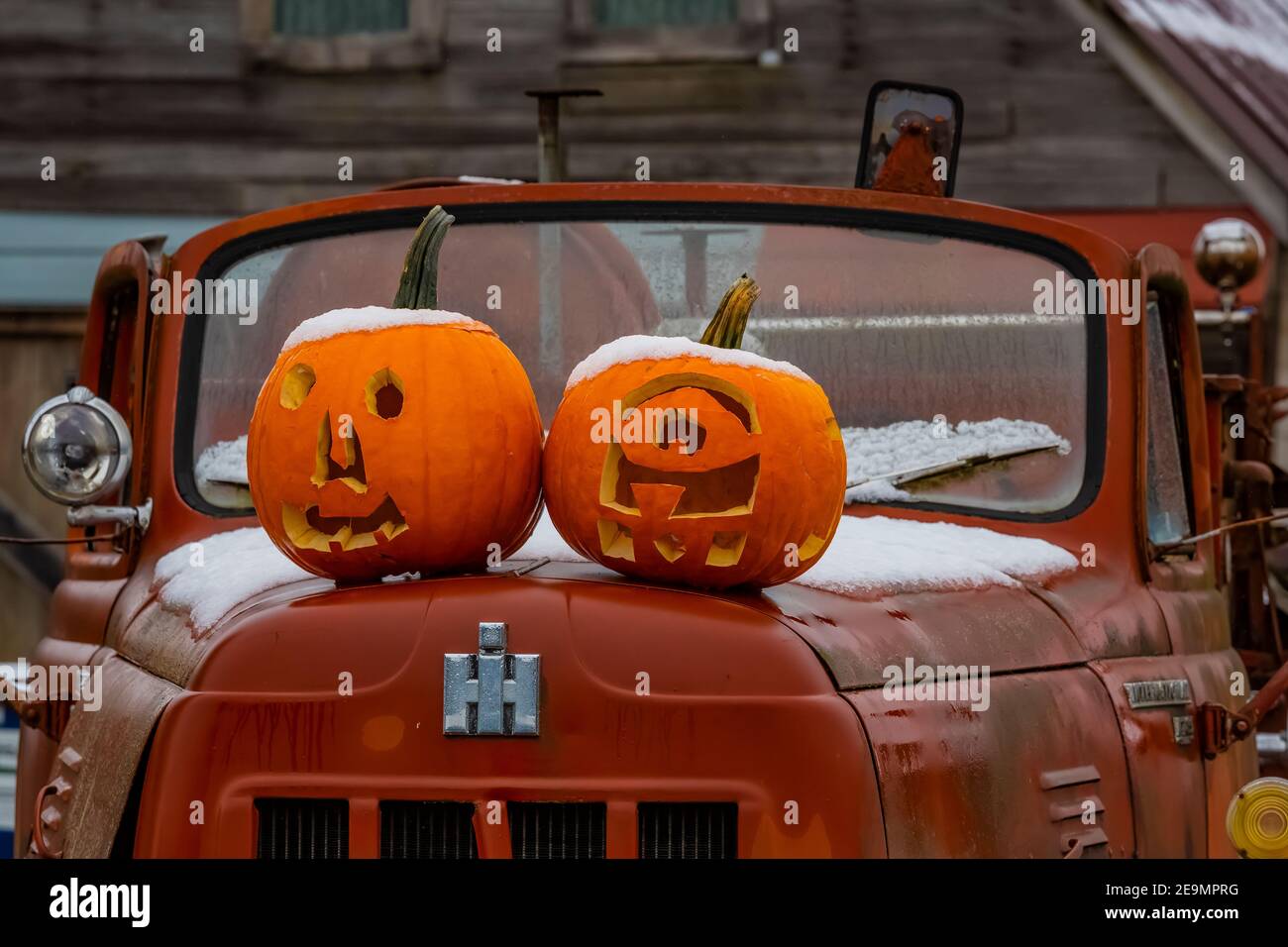 Carved pumpkins on the hood of an old International Harvester truck in the Skokomish Valley, Olympic Peninsula, Washington State, USA [No property rel Stock Photo