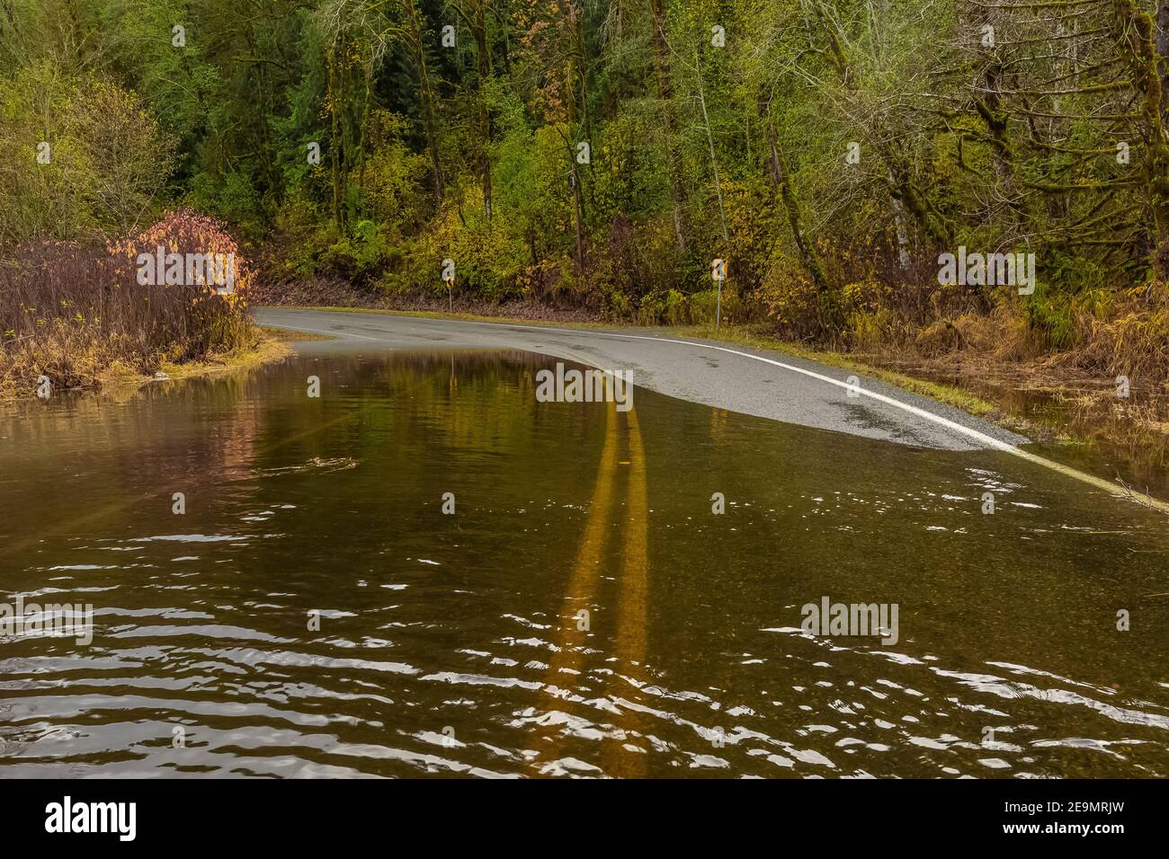 Road that yearly floods because of historical excess clearcutting