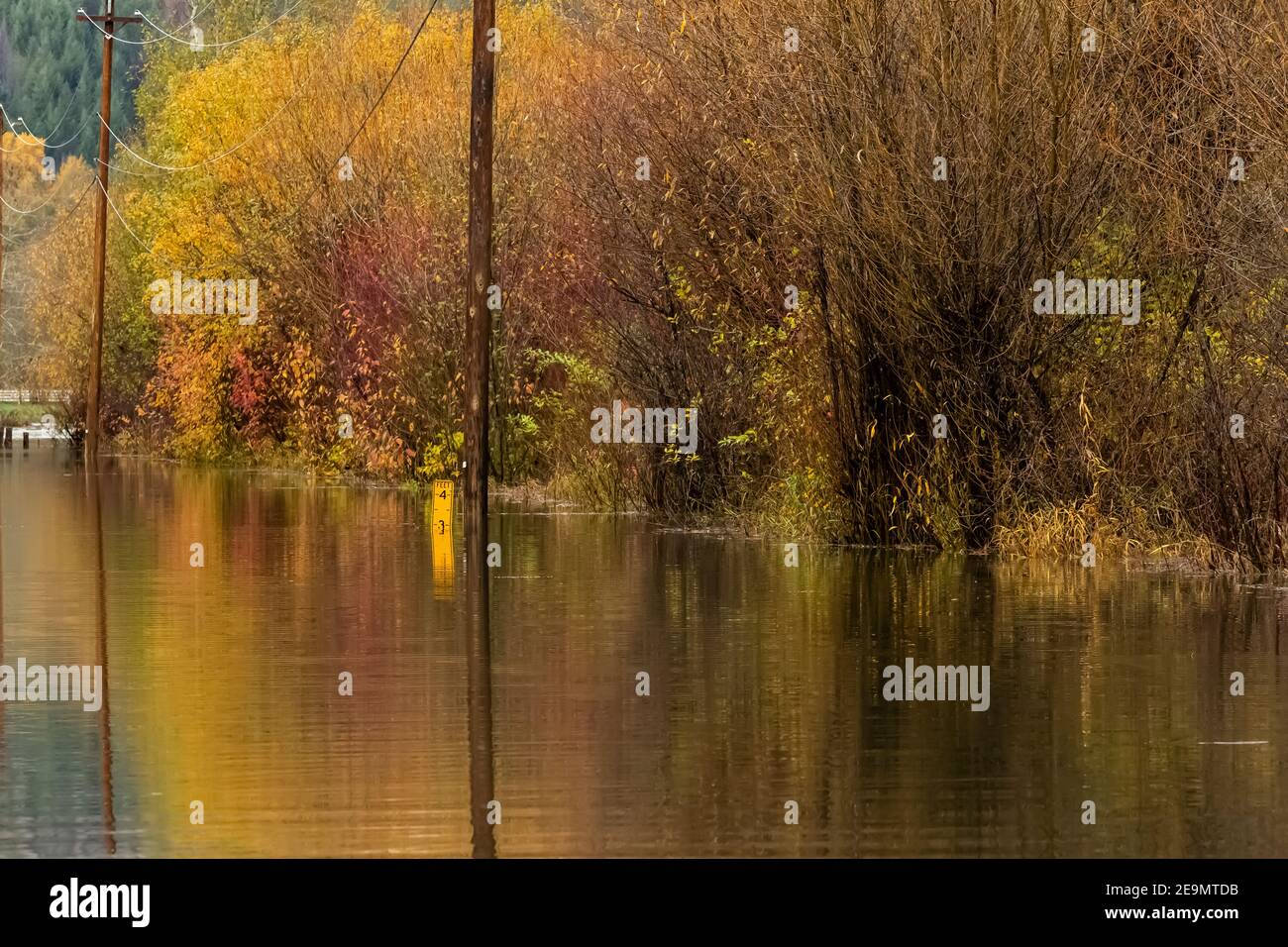 Road through Skokomish Valley that yearly floods because of historical