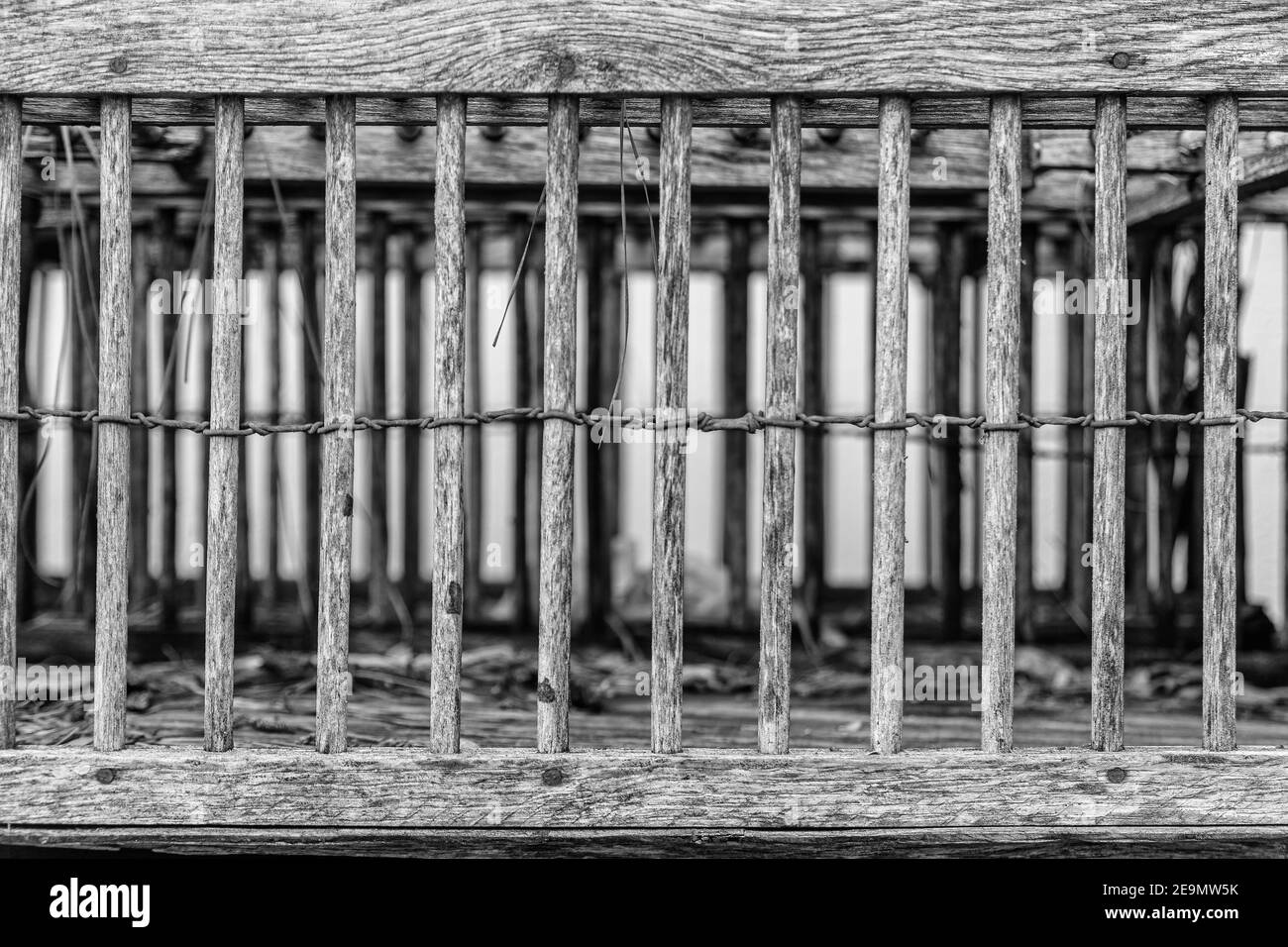 Empty Antique Bird Cage Stock Photo