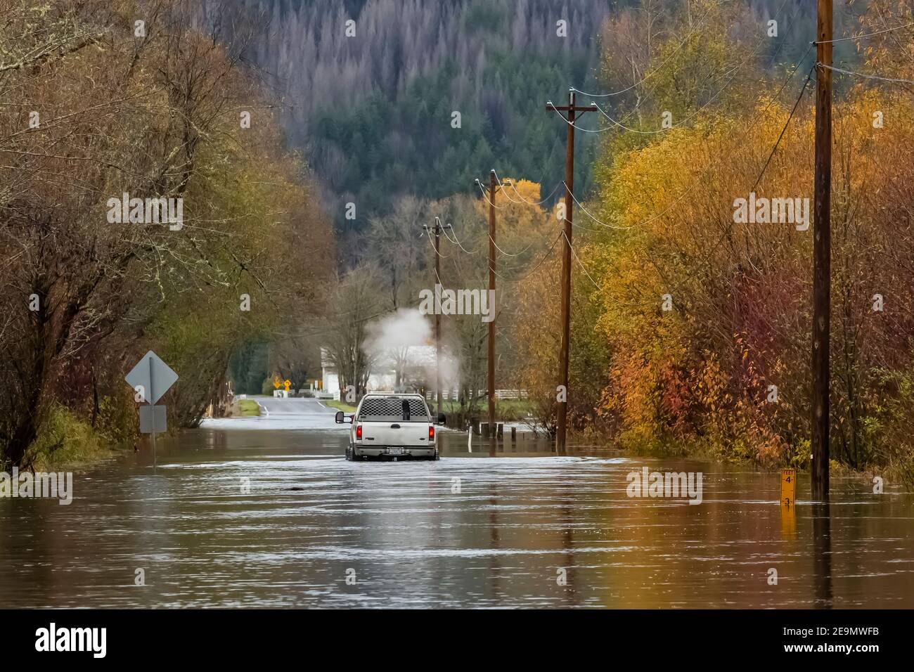 Pickup truck on road through Skokomish Valley during late autumn flood