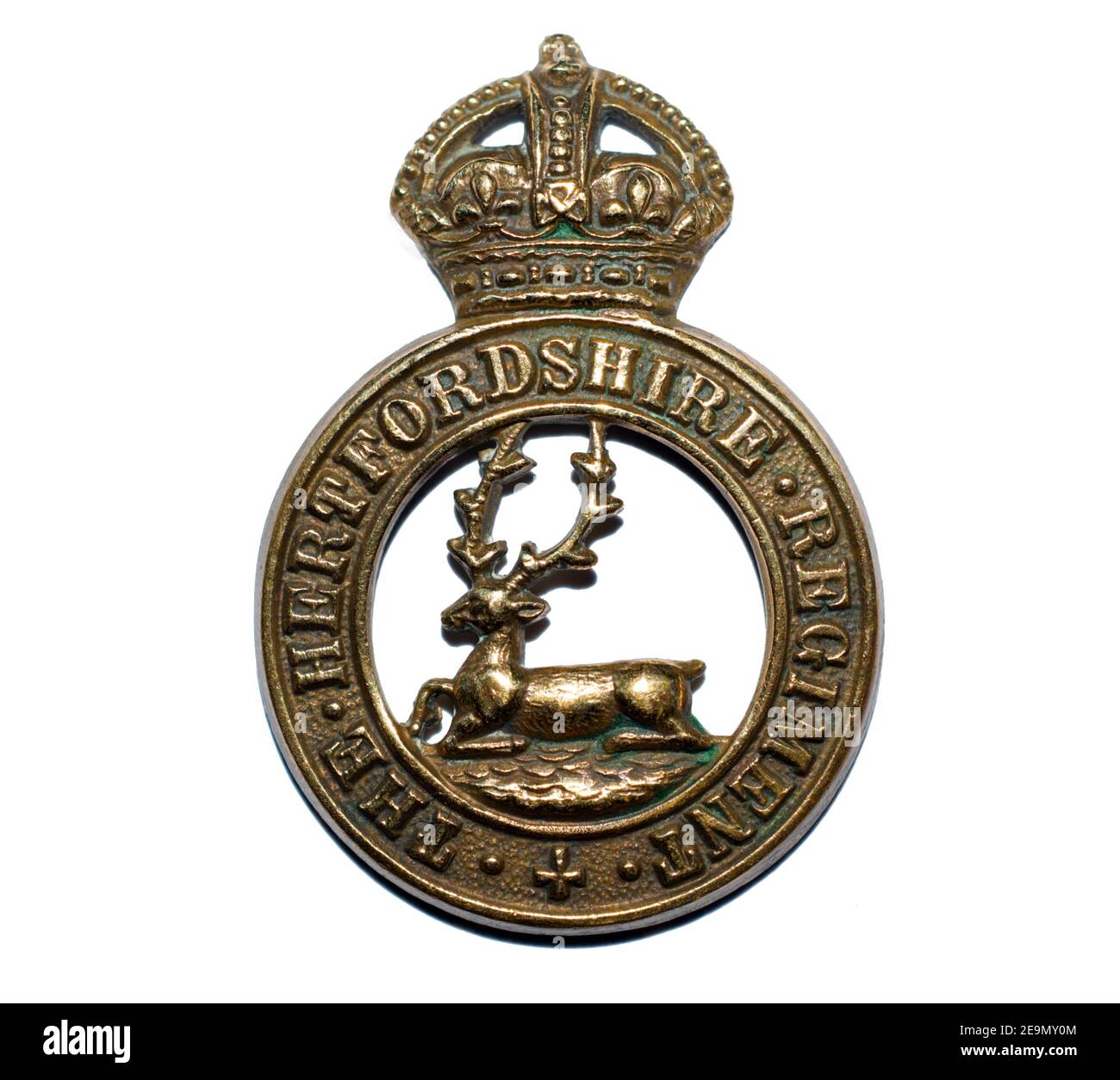 A cap badge of the Hertfordshire Regiment c. 1908-1952. Stock Photo