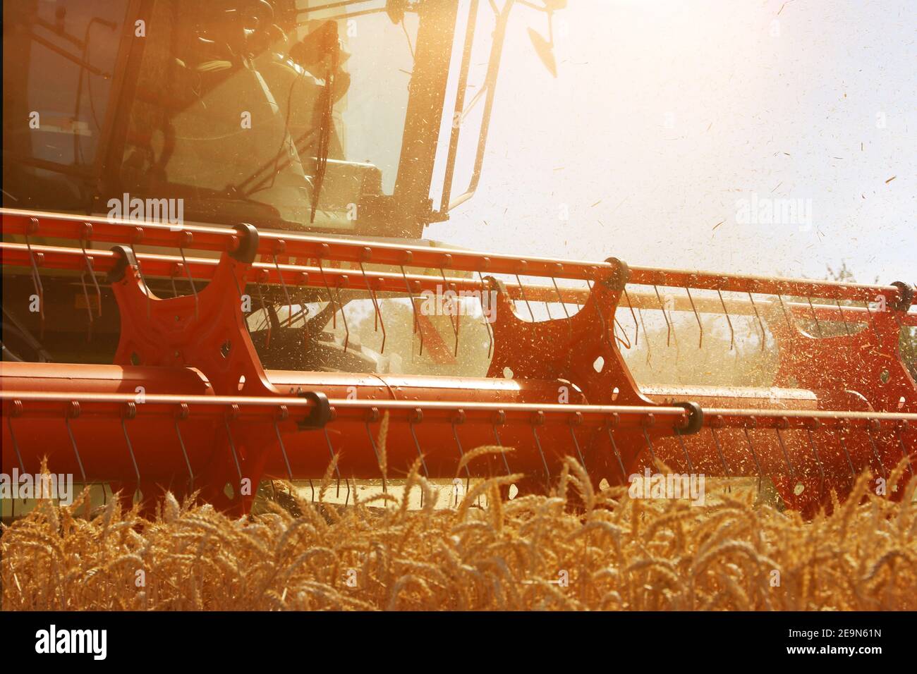 Agricultural cereal harvest with with combine harvester (Germany Stock