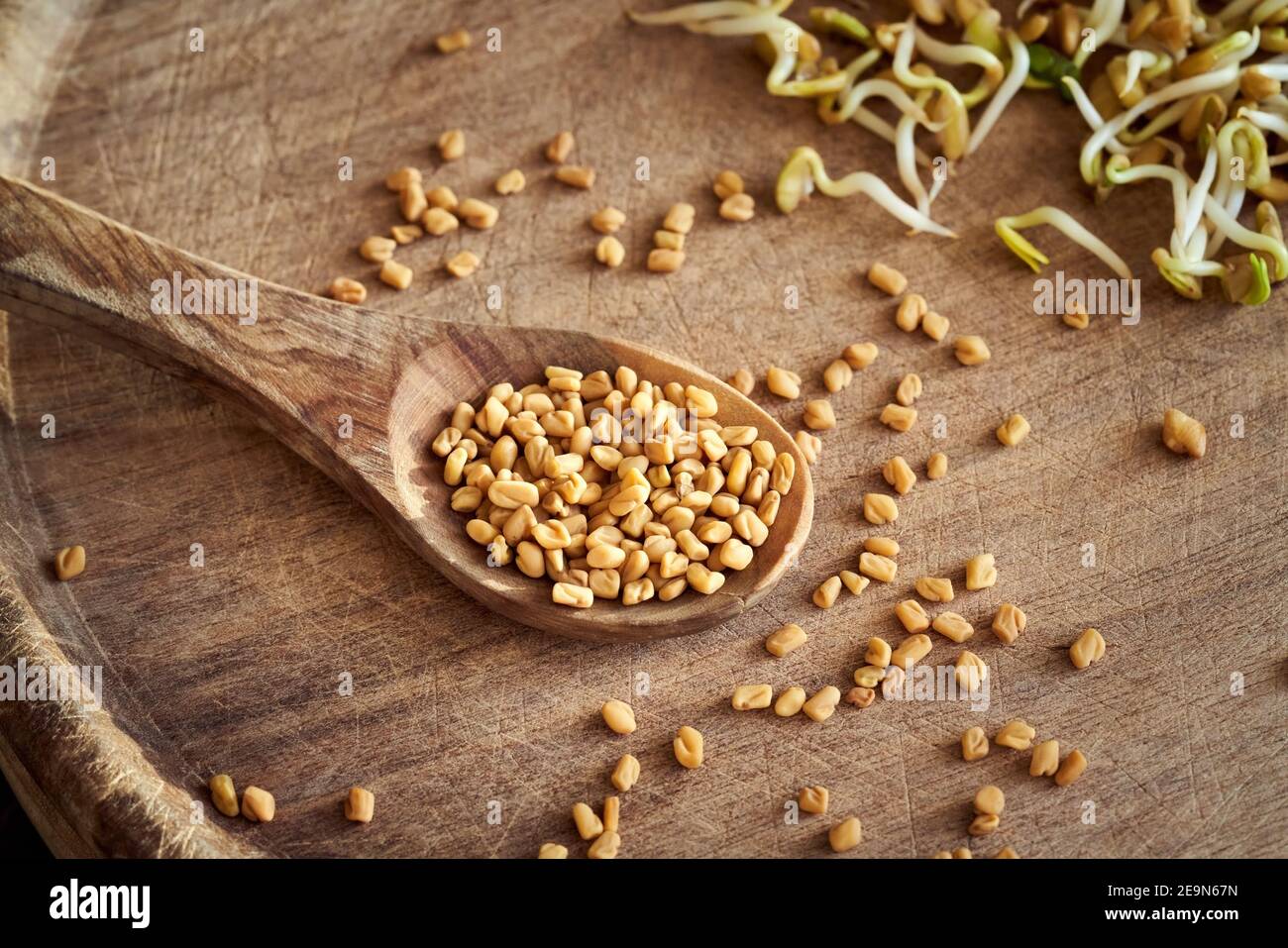 Fenugreek seeds - dry and sprouted in the background Stock Photo
