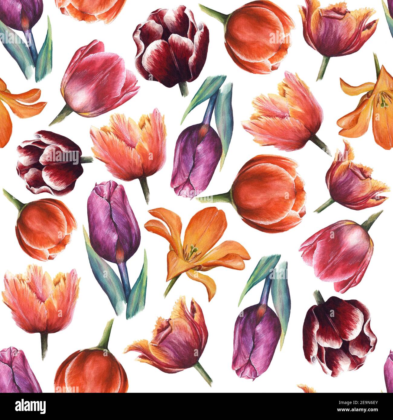 Watercolor seamless flower pattern with tulips. Hand painted floral ...