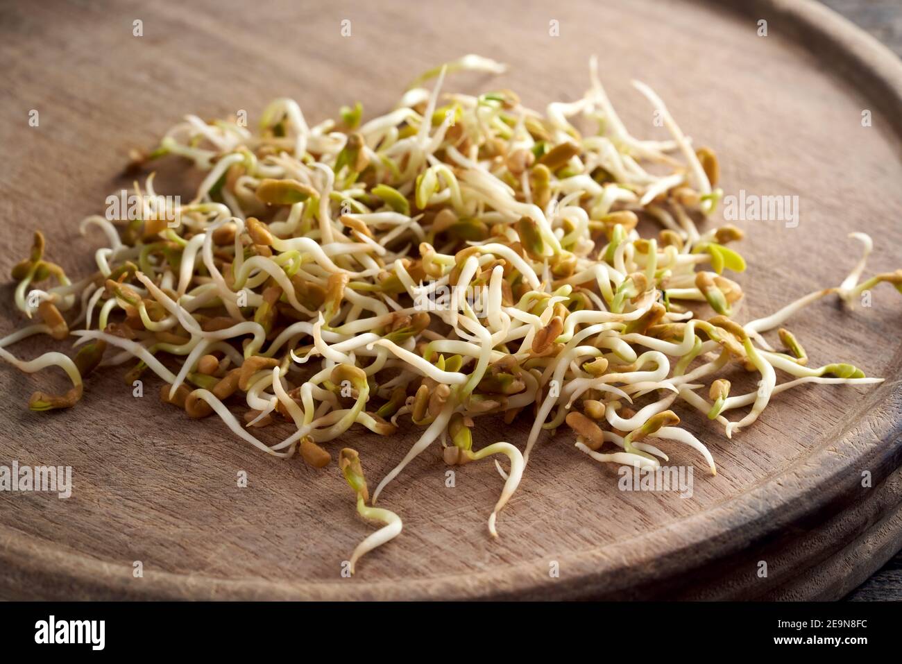 Fresh fenugreek sprouts on a wooden cutting board Stock Photo