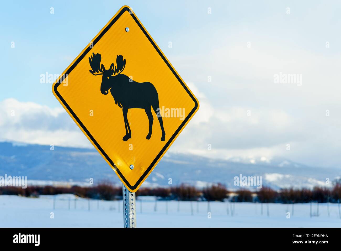 Moose Crossing Sign in Teton Valley Idaho Stock Photo Alamy
