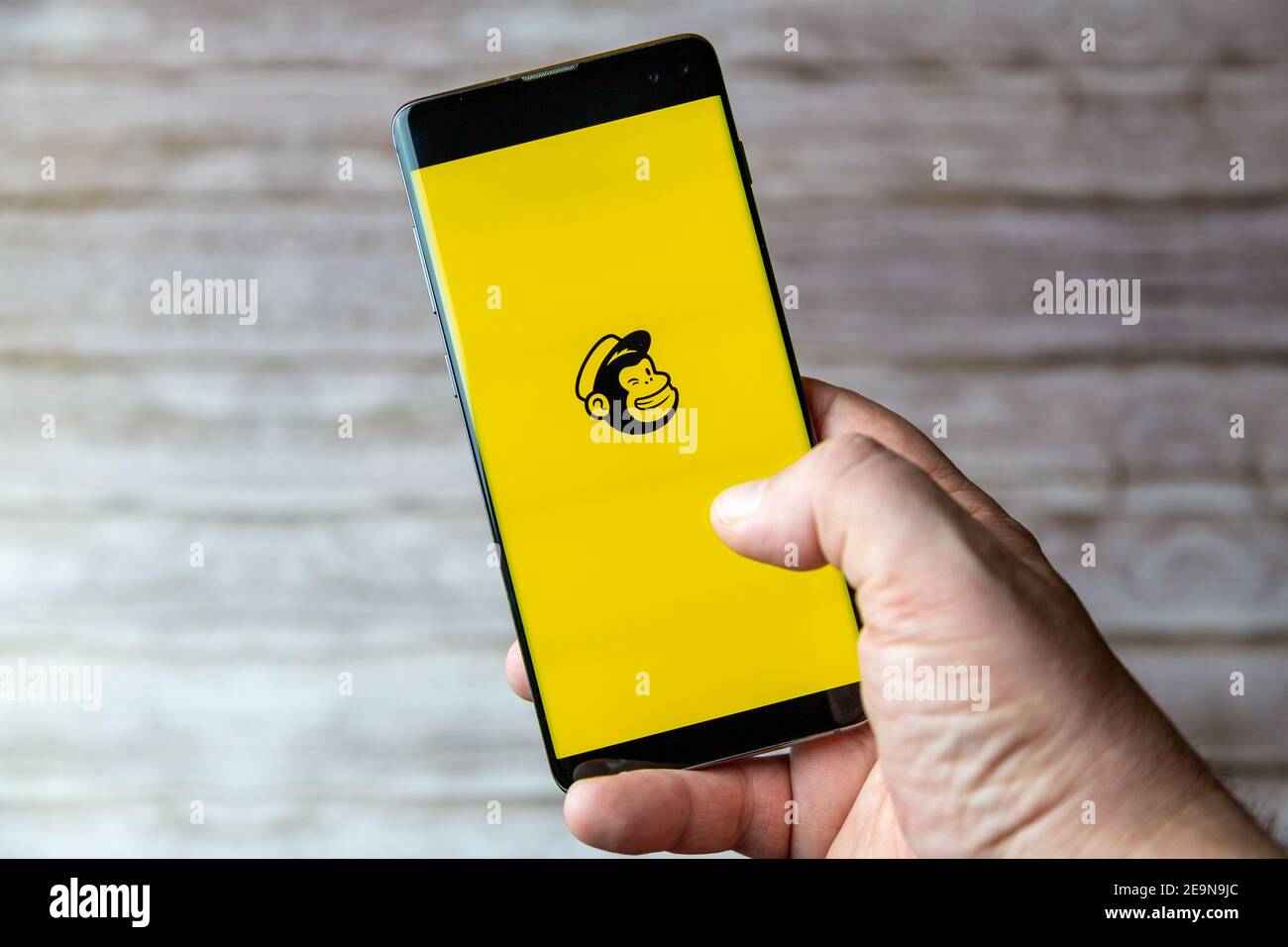 A Mobile phone or cell phone being held showing the Mailchimp app open on screen Stock Photo