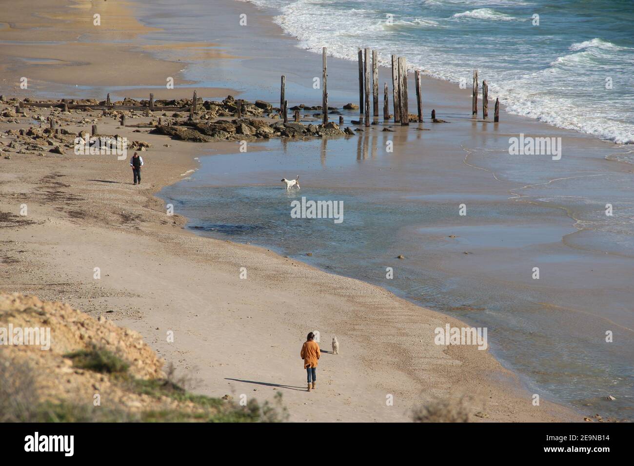 People walk their dogs along Port Willunga beach near Adelaide in South Australia Stock Photo
