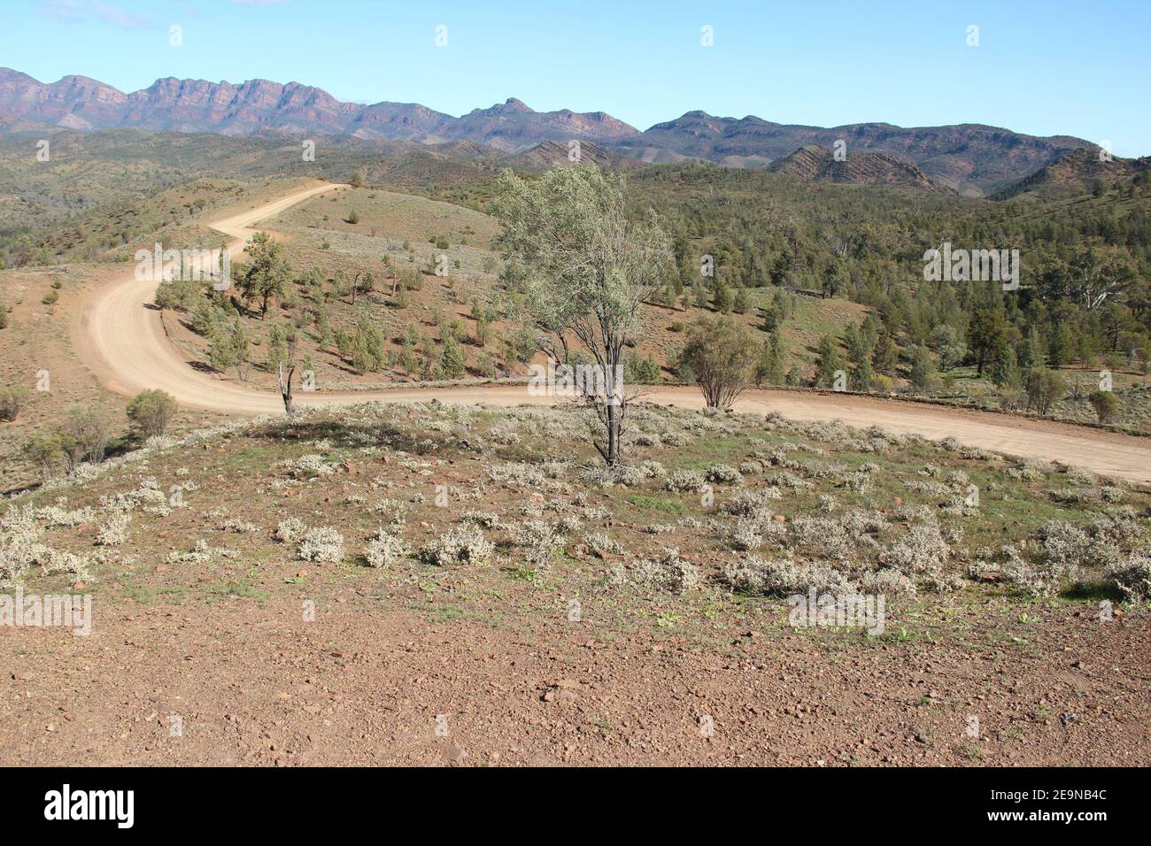 Scenic view of the landscape, bush, outback around Flinders Ranges in South Australia Stock Photo