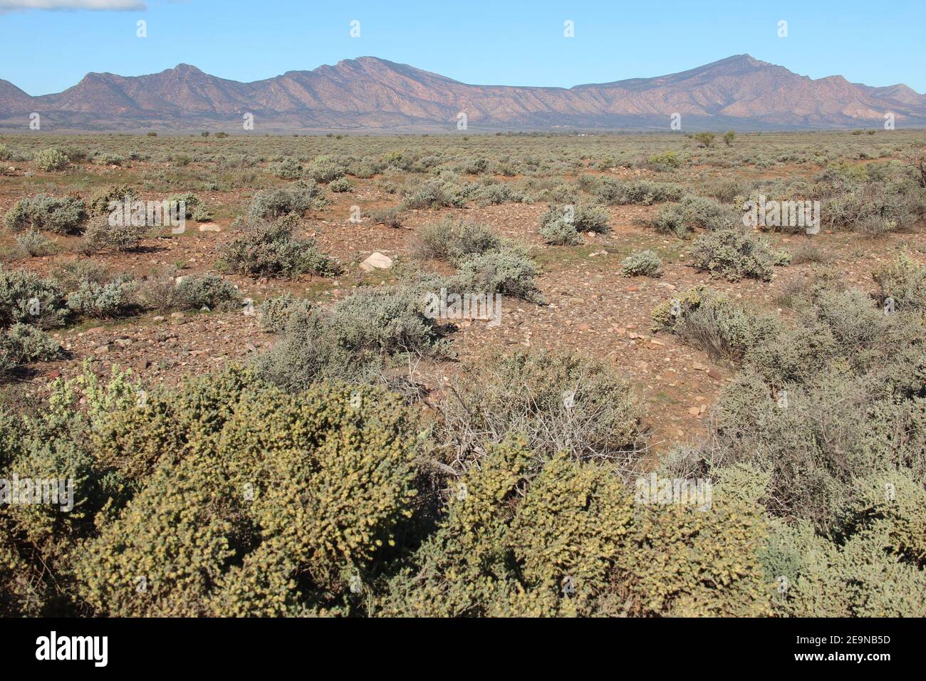 Scenic view of the landscape, bush, outback around Flinders Ranges in South Australia Stock Photo