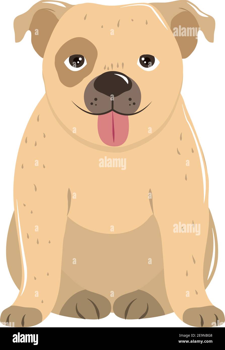 pet cute dog animal sitting on white background vector illustration ...