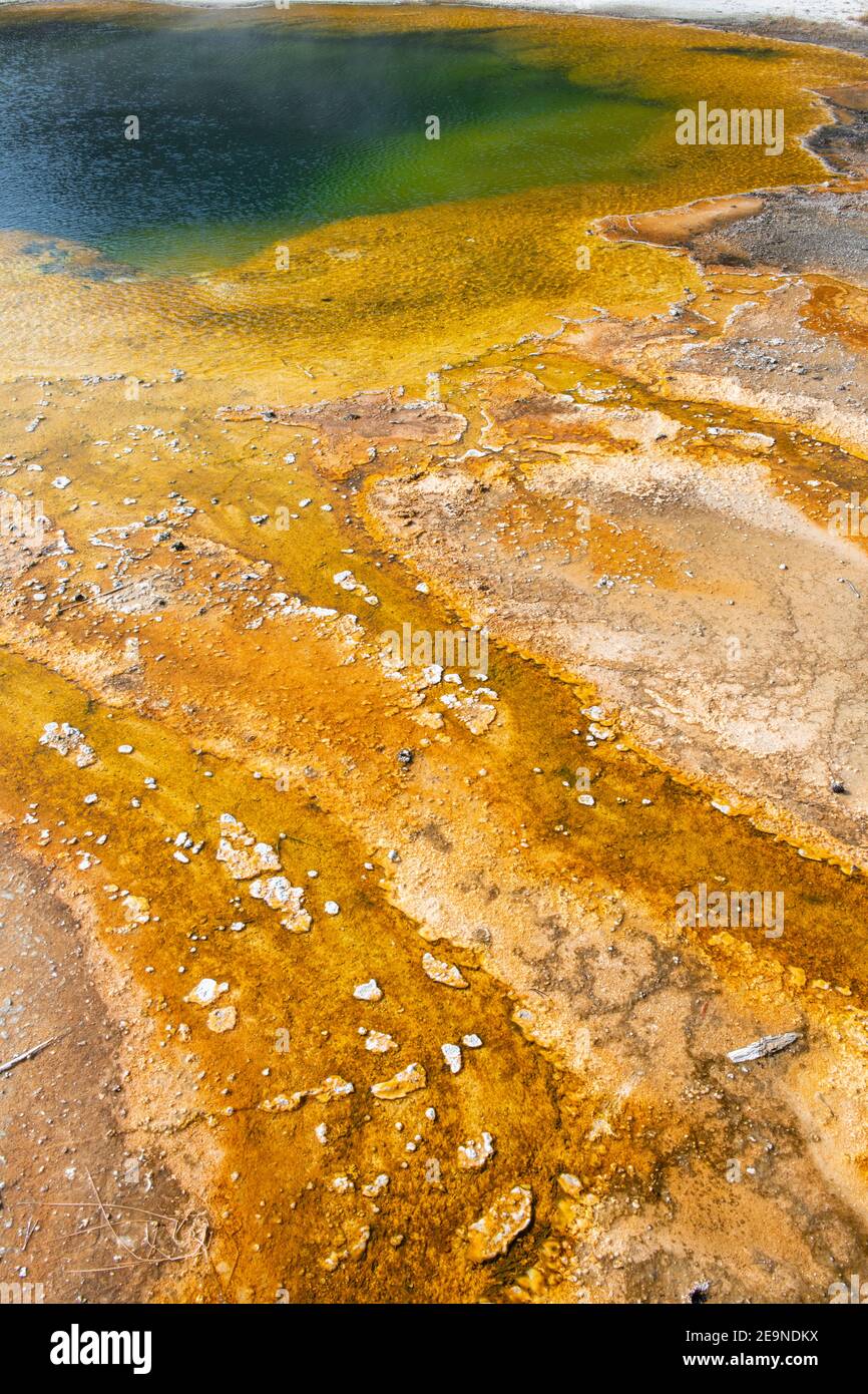 North America, Wyoming, Yellowstone National Park, Black Sand Basin, Emerald Pool. Green pool with yellow thermopile bacteria mat. Stock Photo