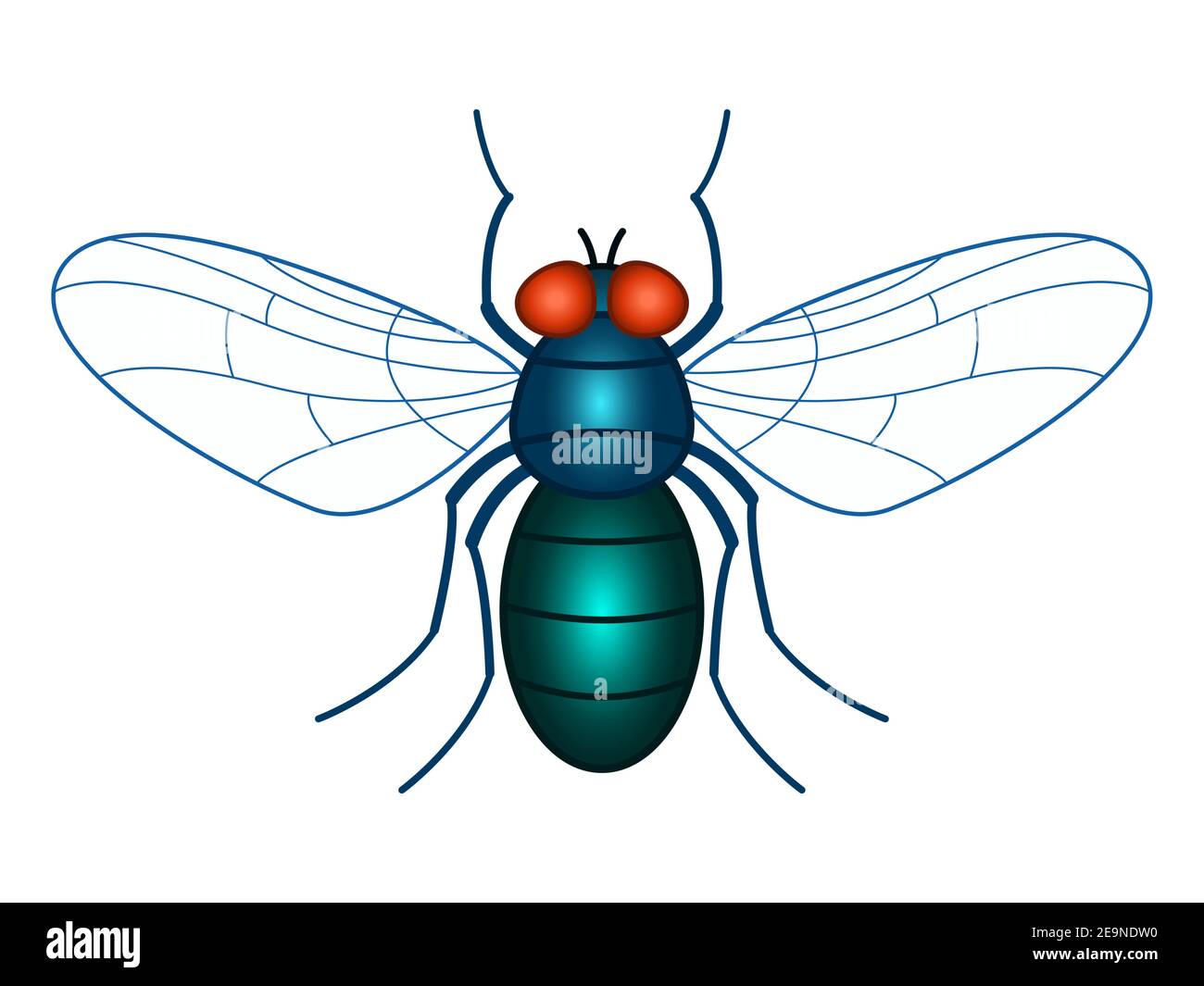 Illustration of the fly insect Stock Vector