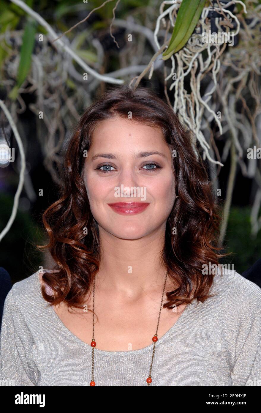 French actress Marion Cotillard poses for pictures during a photocall to promote her new movie 'A Good Year' held at the George V hotel in Paris, France, on October 13, 2006. Photo by Nicolas Khayat/ABACAPRESS.COM Stock Photo